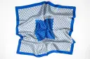 100% Silk Scarf